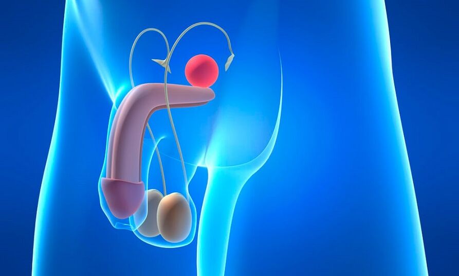edem al prostatei cu prostatită
